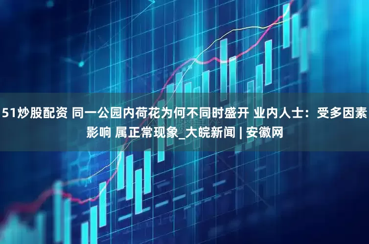51炒股配资 同一公园内荷花为何不同时盛开 业内人士：受多因素影响 属正常现象_大皖新闻 | 安徽网