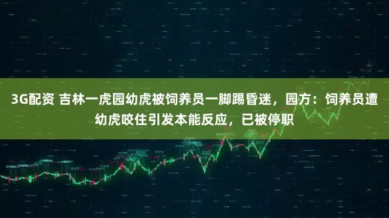 3G配资 吉林一虎园幼虎被饲养员一脚踢昏迷，园方：饲养员遭幼虎咬住引发本能反应，已被停职